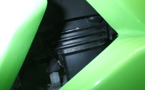 KAWASAKI NINJA 250R 2019 EX250K