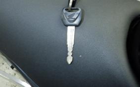 HONDA HORNET 250 MC31