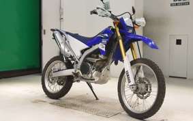 YAMAHA WR250R 2019 DG15J
