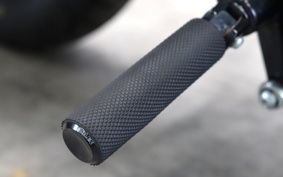 HARLEY XL1200X 2021 LC3