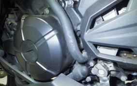 KAWASAKI Z250 2021 ER250C