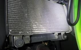 KAWASAKI NINJA 250 EX250L