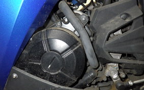 KAWASAKI NINJA 250 EX250L