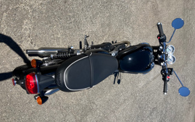 TRIUMPH TRIUMPH BONNEVILLE T100 2024 DAD70G