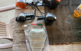 YAMAHA YZF-R6 2006 RJ12