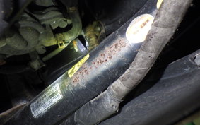 HONDA TACT Gen.4 AF75