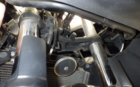 KAWASAKI NINJA 250 ABS EX250L