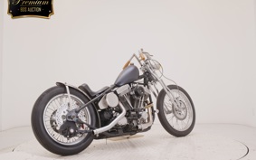OTHER UNREGISTERED MODEL by BDS1330 2022