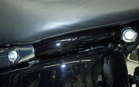 HARLEY FLSB 1750 2018