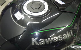 KAWASAKI ZX 1400 NINJA R A 2019