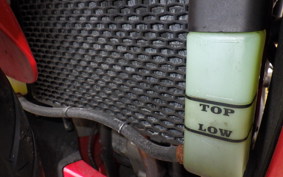 OTHER +ﾒｶﾞﾘ250R