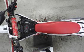 YAMAHA WR250X DG15J