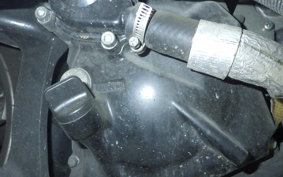 YAMAHA MAJESTY 250 Gen.3 2006 SG15J