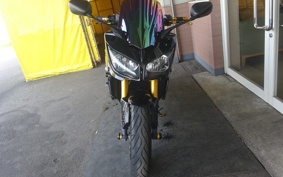 YAMAHA FZ1 FAZER 2009 RN17
