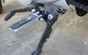 OTHER +UNREGISTERED MODEL by BDS 2022