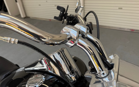 HARLEY  HARLEY FLFBS 2021 YGK