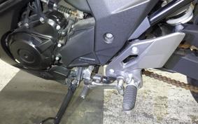 SUZUKI GSX250 R
