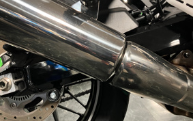 KAWASAKI Z900RS 2024 ZR900K