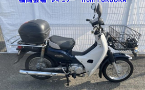 OTHER C110PU LOW 2