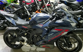 KAWASAKI NINJA ZX-25R ZX250E