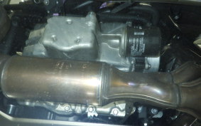 KAWASAKI NINJA 1000SX 2024 ZXT02K