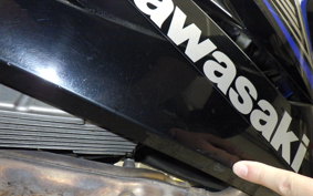 KAWASAKI NINJA 250 2010 EX250L