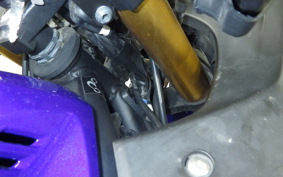 YAMAHA YZF-R3 2019 RH13J