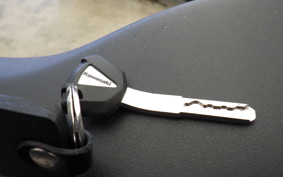 KAWASAKI ZX-4R SE 2025 ZX400P