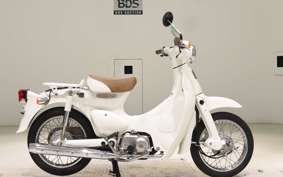 HONDA LITTLE CUB AA01