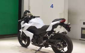 KAWASAKI Z250 2008 ER250C