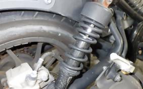 HONDA REBEL 250 2007 MC49