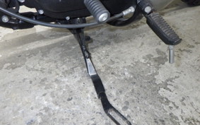 HARLEY XL883N 2018