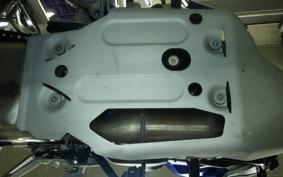 BMW F900GS 2024