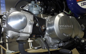 HONDA MONKEY 2018 Z50J