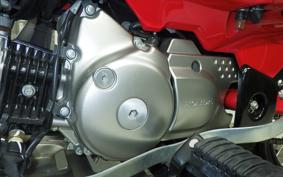 HONDA CT125 HUNTER CUB JA55
