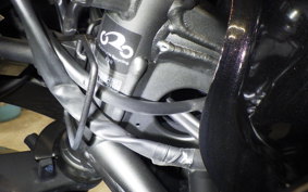 KAWASAKI NINJA 250 EX250L