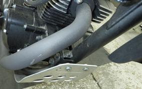 KAWASAKI W175 TR