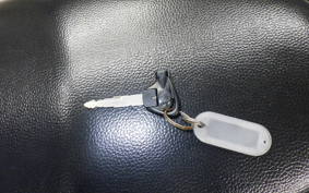 YAMAHA CYGNUS 125 XSR 2 SE44J