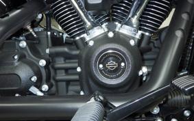 HARLEY FXLRS1920 2025