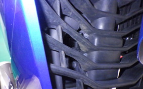 SUZUKI ｼﾞｸｻｰ250SF 2025 ED22B