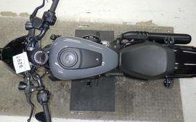 HARLEY RH975 2022