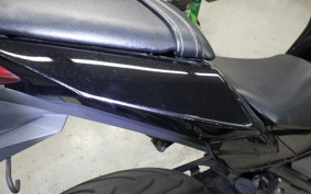 KAWASAKI NINJA 250 EX250L