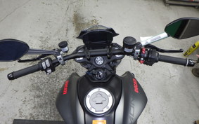 DUCATI MONSTER 937 + 2024