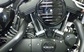 HARLEY XL1200NS 2019