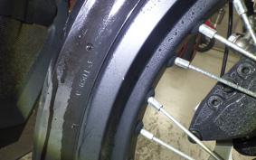 OTHER +FBﾓﾝﾃﾞｨｱﾙﾊﾟｶﾞｰﾆ300