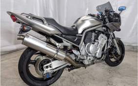 YAMAHA FZS1000 FAZER 2002 RN06