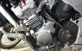HONDA HORNET 250 MC31