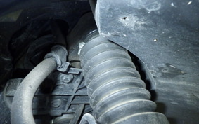 YAMAHA AXIS 125 TREET SE53J