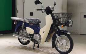 HONDA C110 SUPER CUB 2009 JA42