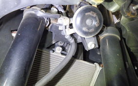 YAMAHA YZF-R25 RG43J